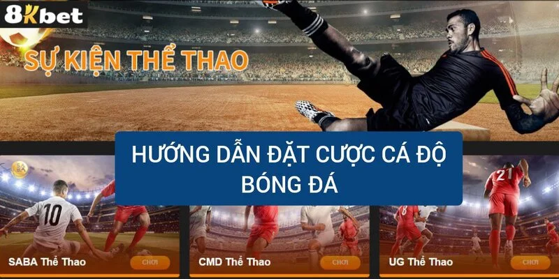 huong-dan-dat-cuoc-ca-do-bong-da